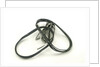 Four strips of magnesium ribbon in a bag by unknown