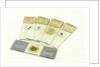 Microscope slides by unknown