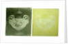 Two transparencies of a Wedgwood vase circa 1900 by Unknown