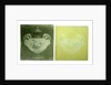 Two transparencies of a Wedgwood vase circa 1900 by Unknown