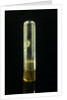 Empty specimen tube with cork by unknown