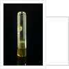 Empty specimen tube with cork by unknown