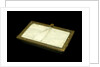 Microscope slide holder by unknown