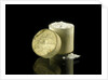 Pill box containing sulphate of magnesia by unknown