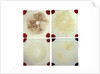 Four microscope slides showing an object similar to those marked AST103950 by unknown
