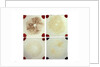 Four microscope slides showing an object similar to those marked AST103950 by unknown