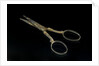 Scissors by unknown