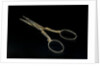 Scissors by unknown