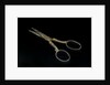 Scissors by unknown