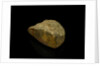 Rock sample with two polished surfaces by unknown
