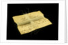 Horsehair wrapped around an invitation card from Miss Slater to Mr Herschel by Unknown