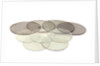 Selection of Lenses by unknown