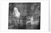 X-ray detail showing under-painting of icebergs in BHC2370 'View in Pickersgill Harbour, Dusky Bay, New Zealand' by William Hodges by William Hodges