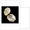 Diptych dial, leaves Ib and IIa by Nicolaus Miller