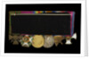 Medals on bar (reverse, right to left): Distinguished Service Order, 1914-15 Star; British War Medal 1914-1918; Victory Medal 1914-1918; Order of Leopold, 4th class (military); Croix de Guerre 1914-1918 by W. Wyon