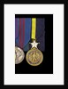Navy Distinguished Service Medal, USA, obverse by unknown