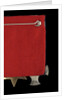 Distinguished Service Cross, reverse by unknown