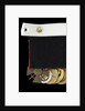 Médaille Militaire 1870-1951 by unknown