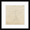 Study of a tree with two chairs either side of its trunk by Thomas Baxter