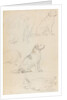 Studies of Nelson's dogs (verso) by Thomas Baxter