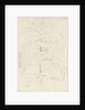 A study of a tree over water (verso) by Thomas Baxter