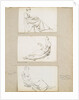Three studies of young woman seated by Thomas Baxter