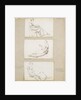 Three studies of young woman seated by Thomas Baxter