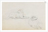 Studies of Nelson's dogs (recto) by Thomas Baxter
