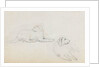 Studies of Nelson's dogs (recto) by Thomas Baxter