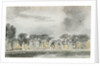 A view across the River Wandle at Merton by Thomas Baxter