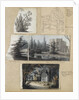 A study of a shrub and and chair, views of Merton Place by Thomas Baxter