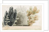 A trellis arbour at Merton Place by Thomas Baxter
