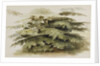 A study of a Cedar tree at Merton by Thomas Baxter