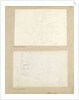Studies of garden plants including rose foliage and honeysuckle by Thomas Baxter
