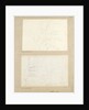 Studies of garden plants including rose foliage and honeysuckle by Thomas Baxter