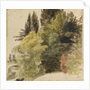 A study of trees in the grounds at Merton Place by Thomas Baxter