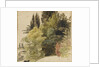 A study of trees in the grounds at Merton Place by Thomas Baxter