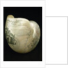 Engraved nautilus shell commemorating Nelson's victories by C. H. Wood