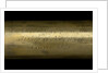 Pocket telescope - draw tube inscription by George Rossi