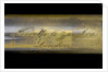 Pocket telescope - draw tube inscription by Negretti & Zambra