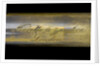 Pocket telescope - draw tube inscription by Negretti & Zambra