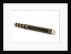 Pocket telescope by Franciscus Sansedonius