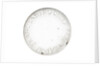 Pocket telescope - objective lens inscription by Franciscus Sansedonius