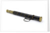 Walking stick telescope by unknown