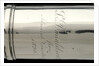 Officer of the Watch telescopic- sun shade inscription by Unknown