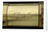 Day or night telescope - inscription by JONES