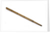Walking stick telescope by William Harris & Co.