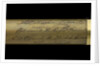 Walking stick telescope - inscription by Thomas Harris & Son