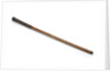 Walking stick telescope by unknown