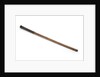 Walking stick telescope by unknown